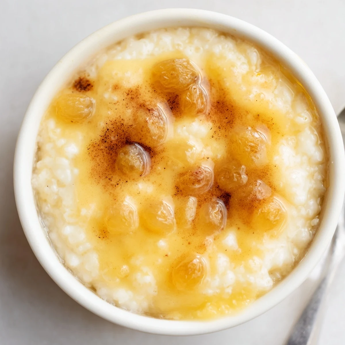 Warm bowl of Delicious Condensed Milk Baked Rice Pudding Recipe To Try, golden